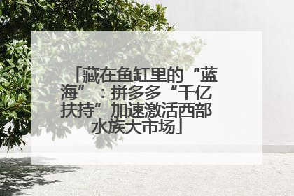 藏在鱼缸里的“蓝海”：拼多多“千亿扶持”加速激活西部水族大市场