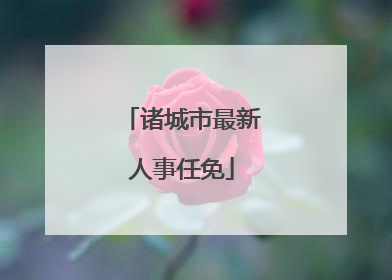 诸城市最新人事任免