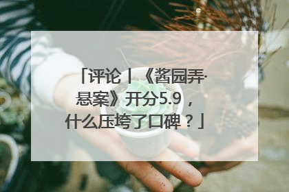 评论丨《酱园弄·悬案》开分5.9，什么压垮了口碑？