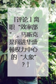 评论丨离职“效率部”，马斯克是闯进华盛顿权力中心的“大象”？