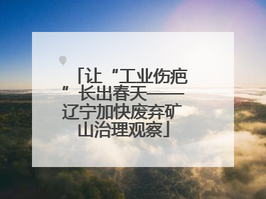 让“工业伤疤”长出春天——辽宁加快废弃矿山治理观察