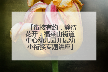 衔接有约，静待花开：福莱山街道中心幼儿园开展幼小衔接专题讲座