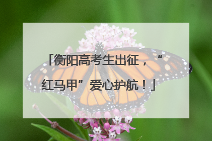 衡阳高考生出征，“红马甲”爱心护航！