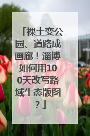 裸土变公园、道路成画廊！淄博如何用100天改写路域生态版图？