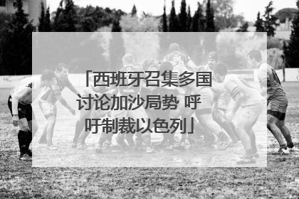 西班牙召集多国讨论加沙局势 呼吁制裁以色列