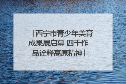 西宁市青少年美育成果展启幕 四千作品诠释高原精神