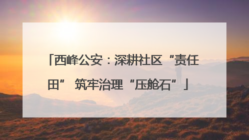 西峰公安：深耕社区“责任田” 筑牢治理“压舱石”