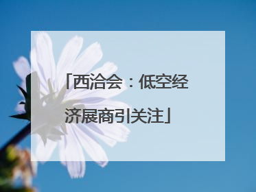 西洽会：低空经济展商引关注