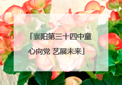 襄阳第三十四中童心向党 艺展未来