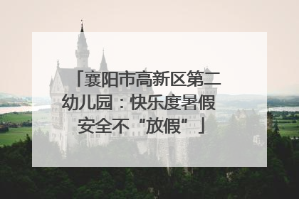 襄阳市高新区第二幼儿园：快乐度暑假 安全不“放假”
