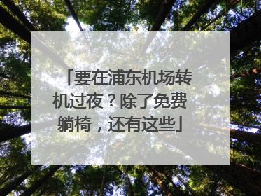 要在浦东机场转机过夜？除了免费躺椅，还有这些