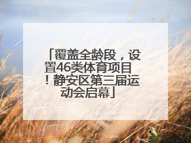 覆盖全龄段，设置46类体育项目！静安区第三届运动会启幕