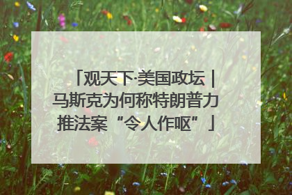观天下·美国政坛｜马斯克为何称特朗普力推法案“令人作呕”