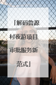 解码鲁源村夜游项目审批服务新范式