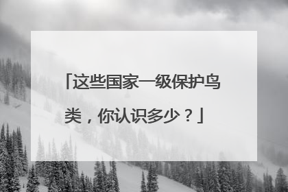 这些国家一级保护鸟类，你认识多少？