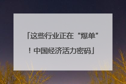 这些行业正在“爆单”！中国经济活力密码