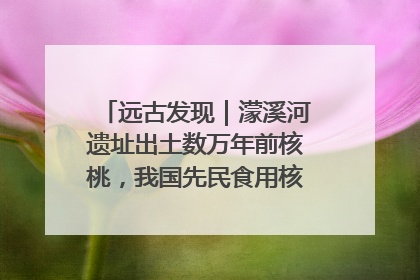 远古发现｜濛溪河遗址出土数万年前核桃，我国先民食用核桃历史大幅提前