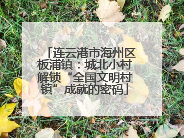 连云港市海州区板浦镇：城北小村解锁“全国文明村镇”成就的密码