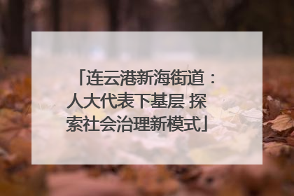 连云港新海街道：人大代表下基层 探索社会治理新模式