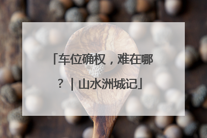 车位确权，难在哪？｜山水洲城记