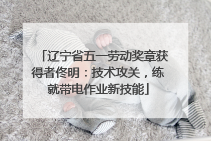 辽宁省五一劳动奖章获得者佟明：技术攻关，练就带电作业新技能