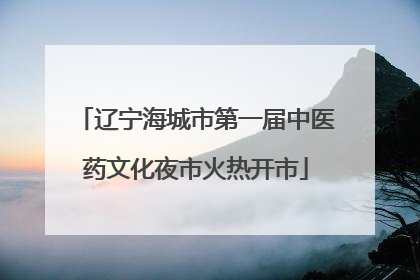 辽宁海城市第一届中医药文化夜市火热开市
