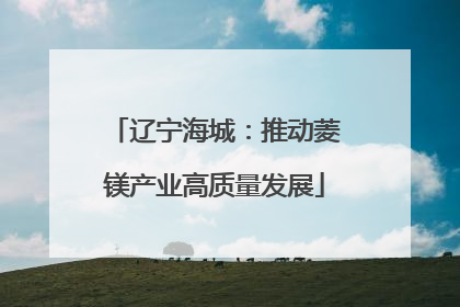 辽宁海城：推动菱镁产业高质量发展