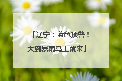 辽宁：蓝色预警！大到暴雨马上就来