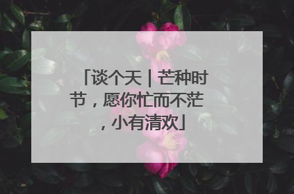 谈个天｜芒种时节，愿你忙而不茫，小有清欢