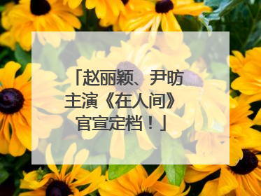 赵丽颖、尹昉主演《在人间》官宣定档！