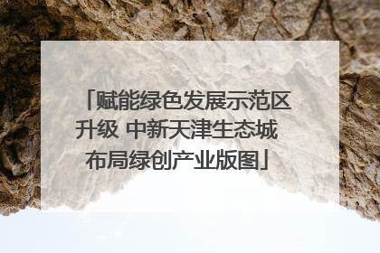 赋能绿色发展示范区升级 中新天津生态城布局绿创产业版图