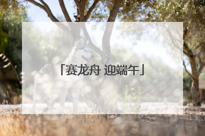 赛龙舟 迎端午