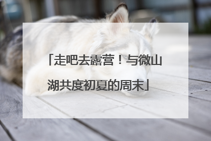 走吧去露营！与微山湖共度初夏的周末