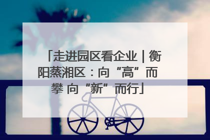走进园区看企业｜衡阳蒸湘区：向“高”而攀 向“新”而行