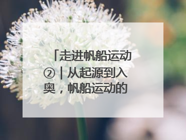 走进帆船运动②｜从起源到入奥，帆船运动的百年历史