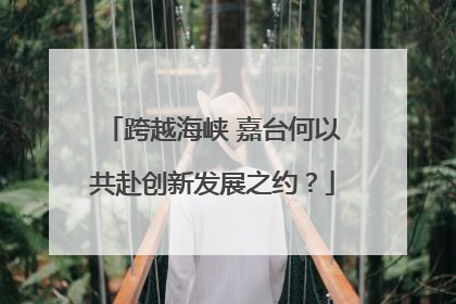 跨越海峡 嘉台何以共赴创新发展之约？