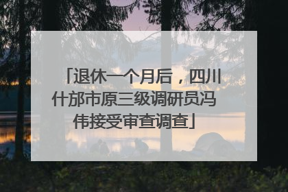 退休一个月后，四川什邡市原三级调研员冯伟接受审查调查