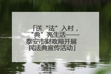 送“法”入村，“典”亮生活——泰安市财政局开展民法典宣传活动