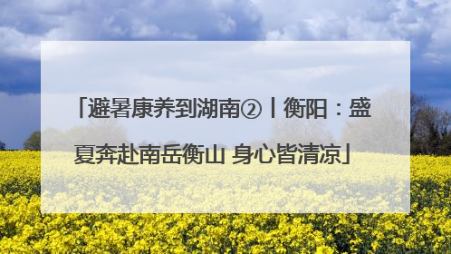 避暑康养到湖南②丨衡阳：盛夏奔赴南岳衡山 身心皆清凉