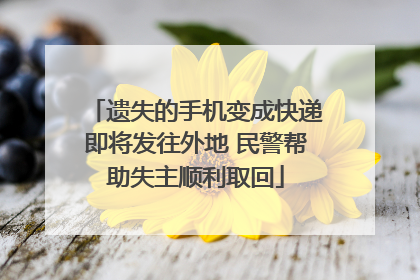 遗失的手机变成快递即将发往外地 民警帮助失主顺利取回