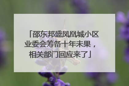 邵东邦盛凤凰城小区业委会筹备十年未果，相关部门回应来了