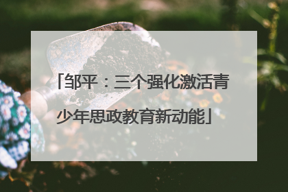 邹平：三个强化激活青少年思政教育新动能