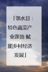 邻水县：特色蔬菜产业蓬勃 赋能乡村经济发展