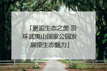 邂逅生态之美 赏环武夷山国家公园发展带生态魅力