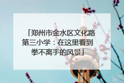 郑州市金水区文化路第三小学：在这里看到拳不离手的风景