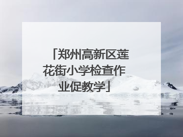 郑州高新区莲花街小学检查作业促教学