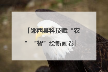 郧西县科技赋“农”“智”绘新画卷