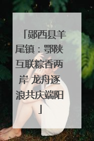 郧西县羊尾镇：鄂陕互联粽香两岸 龙舟逐浪共庆端阳