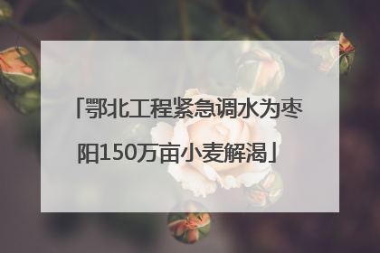 鄂北工程紧急调水为枣阳150万亩小麦解渴