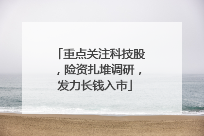 重点关注科技股，险资扎堆调研，发力长钱入市